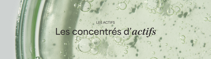 Collection_FA_Actifs